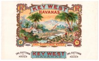 Key West Havanas Inner Box Art